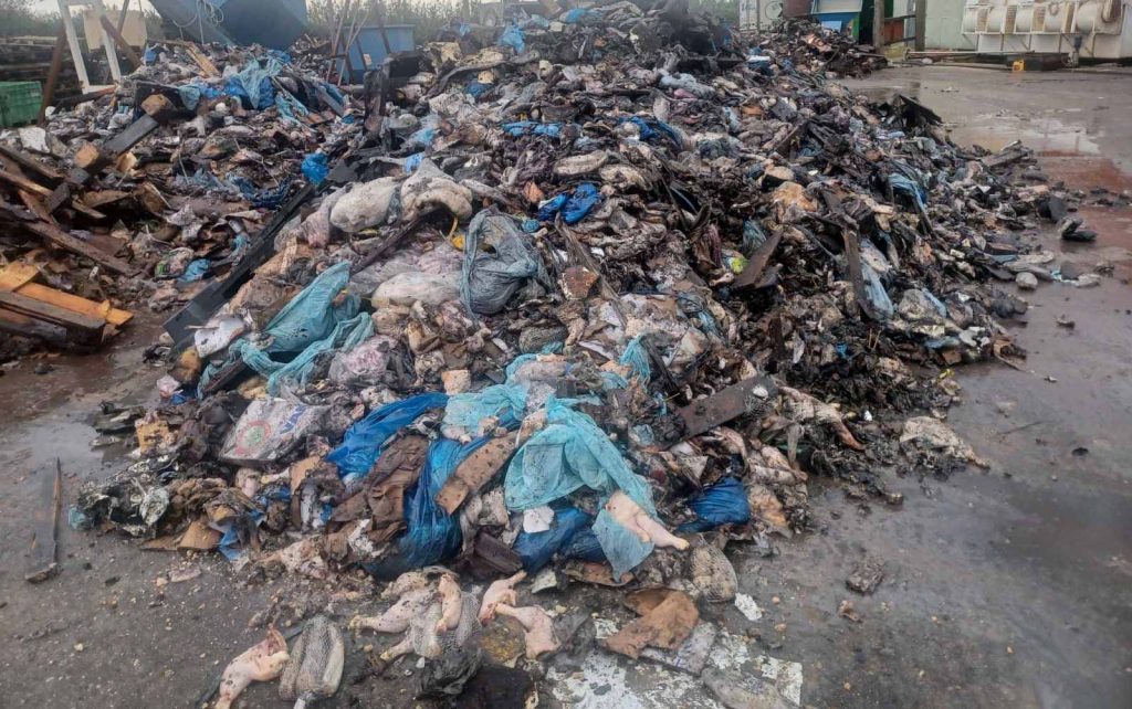 SYLLHPSEIS- KERKYRA- APOVLHTA- KERKYRA